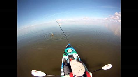 Kayak Fly Fishing For Bull Redfish Youtube