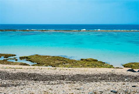 Amami-Oshima and Tokunoshima Natural World Heritage Sites | Visit Kyushu