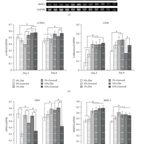 Gene Expression Of Mscs A Gene Expression Profiles For Each Marker Download Scientific