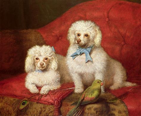 A Pair of Poodles Painting by English School - Fine Art America