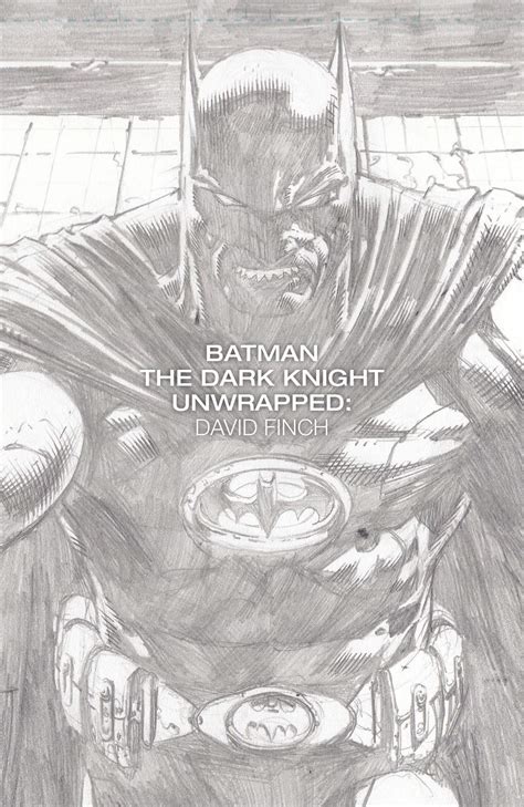 Batman The Dark Knight Unwrapped By David Finch Deluxe Edition Comic