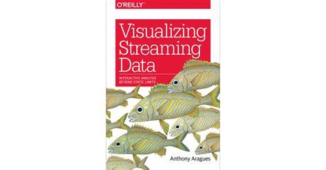 Visualizing Streaming Data[book]