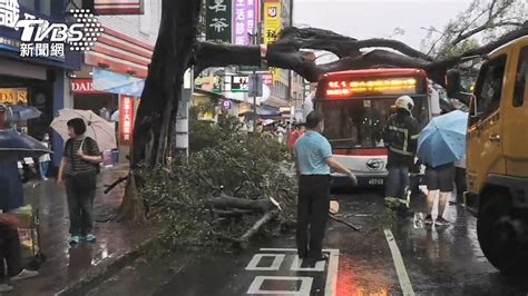 北市大雨路樹倒 砸中公車、3轎車釀回堵 Yahoo奇摩汽車機車