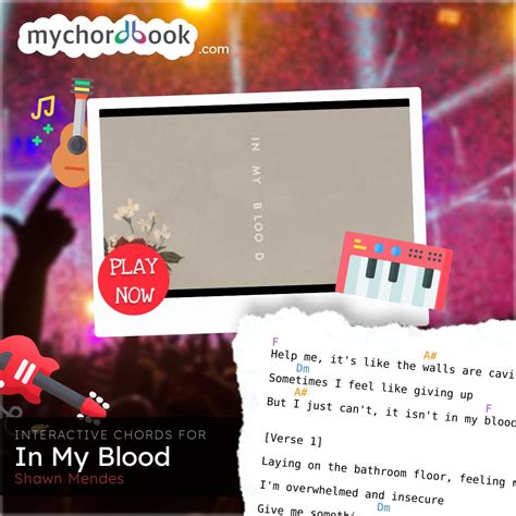 Shawn Mendes - In My Blood Chords