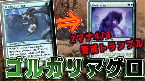 【mtgアリーナ】新フォーマットアルケミー！ハンドバフ要素採用のゴルガリアグロ！【イニストラード：真紅の契り】 Youtube