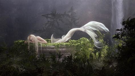 Solve Albino Enchanting Mermaid And White Waterfall Fantasy Moss Forest