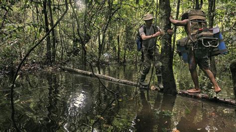 En Guyane Avec Les Nouveaux Explorateurs De La Jungle