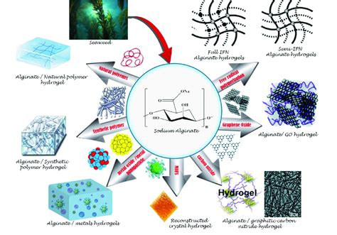 Sodium Alginate Hydrogels Incorporated With Different Materials For The Download Scientific