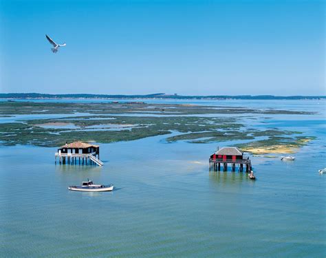 L Ile Aux Oiseaux Sur Le Bassin D Arcachon France Places Nouvelle