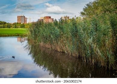 Polder Park Cronesteyn Large Park City Stock Photo