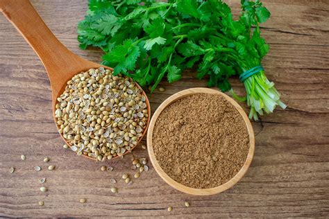 Coriander Seeds Dhania Spice And Colour