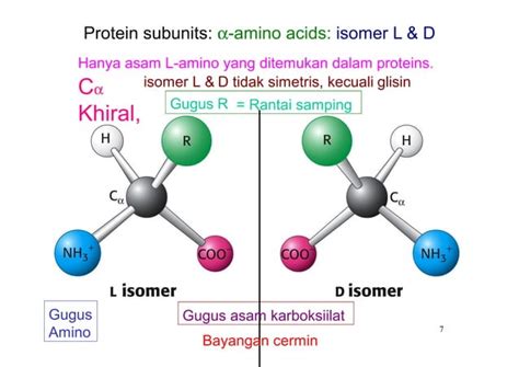 Struktur Dan Fungsi Protein PPT