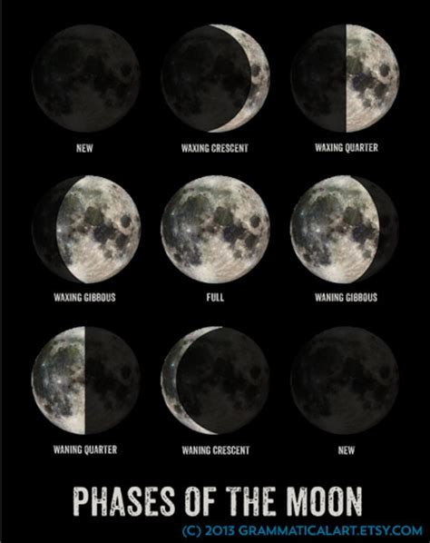 Moon Phase Poster Geekery Lunar Phases Science by GrammaticalArt