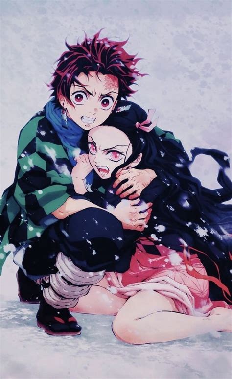 Tanjiro Kamado Says Nezuko Kamado I Will Always Protect You Demon Slayer Kimetsu No Yaiba Amino