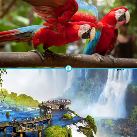 Férias em Foz do Iguaçu Pacotes de passeios em Foz do Iguaçu a