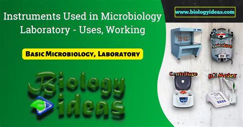 10 Instruments Used In Microbiology Laboratory Principle And Uses Biology Ideas