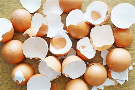 Using Eggshells To Build Walls In Japan MetaEfficient