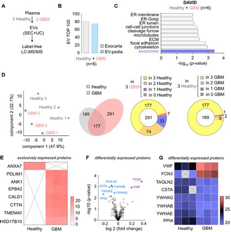 Proteomic Analysis Of Circulating Evs From Gbm Patients Unveils