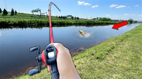 Fishing W LIVE SHINERS In Miami Canals LOADED YouTube