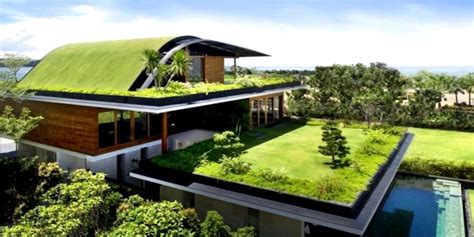 The Advantages Of Having A Green Roof Hometriangle