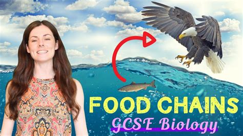 Food Chains Gcse Biology Combined Science Revision Qs Youtube