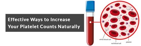 Effective Ways To Increase Your Platelet Counts Naturally Ganesh Diagnostic