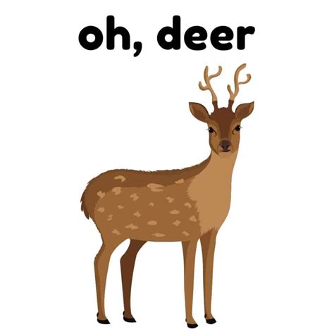 deer puns   doe funny box  puns