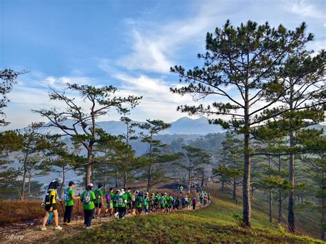 Tản mạn về Đà Lạt Ultra Trail 2024 Chạy bộ trên địa hình khiến mình lo