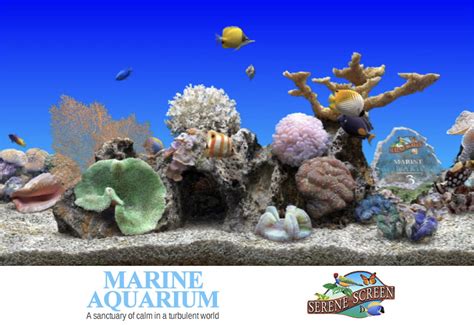 3d Marine Aquarium Screensaver Windows 7 - Aquarium Views