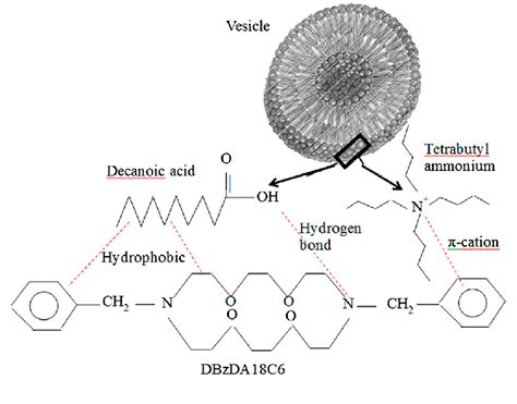 Intermolecular Force Diagram Nacl