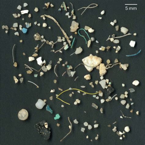 Microplastics In The Seas Science