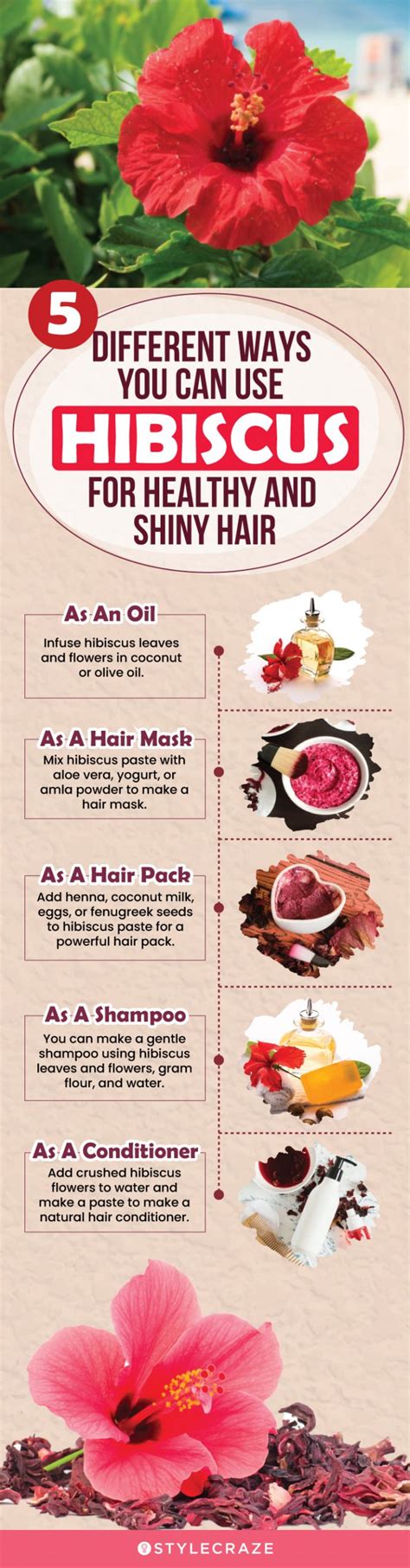 15 Effective Ways To Use Hibiscus For Your Hair Mostpupolar