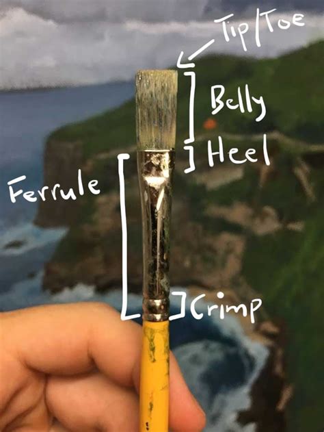 Artist Paint Brushes The Ultimate Guide For Beginners