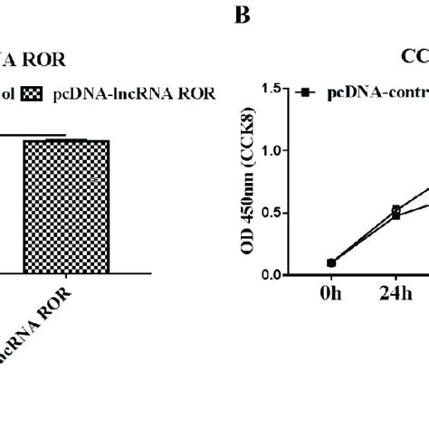 Effect Of Lncrna Ror On Apoptosis Of Ec Hec A Cells A Fluorescence