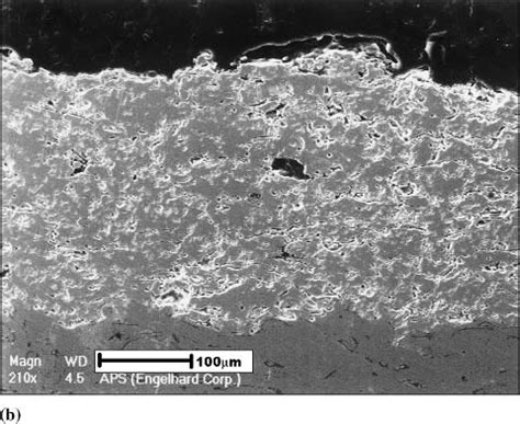 Polished Cross Sections Of Y 2 O 3 Stabilized ZrO 2 YSZ Coatings