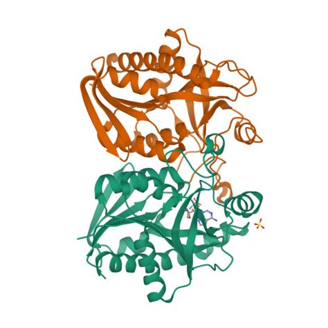 RCSB PDB 4G89 Crystal Structure Of K Pneumoniae Mta Adohcy