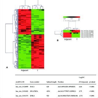 Differentially Expressed Circrnas Analysis Using High Throughput