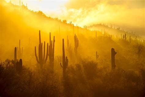 LOW DESERT FOG - Kevin Juberg