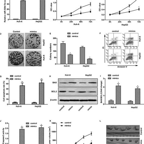 Mechanisms Underlying Beta Cell Failure In Type 1 And Type 2 Diabetes