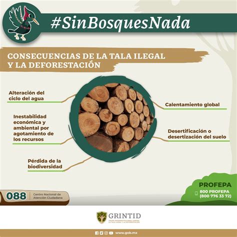 CONANP on Twitter La conservación y uso responsables de los bosques