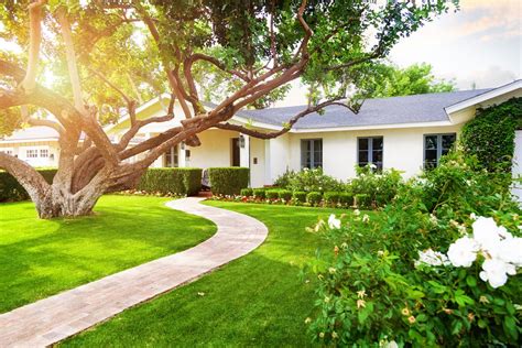 La Liste Des Arbres Que L On Peut Planter Pr S De Sa Maison