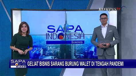 Sempat Terdampak Pandemi Kini Bisnis Sarang Burung Walet Kembali