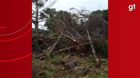 Tornado ventos de 100 km h destrói casas e arranca árvores em