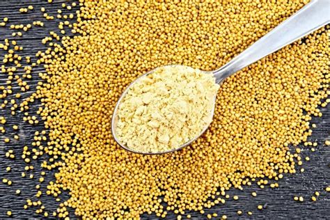 Mustard Cake Fertilizer Uses In The Garden Step By Step Process Plant