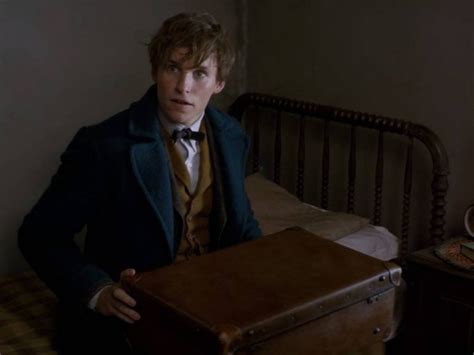 El Spin Off De Harry Potter Presenta Su Primer Tr Iler Enter Co