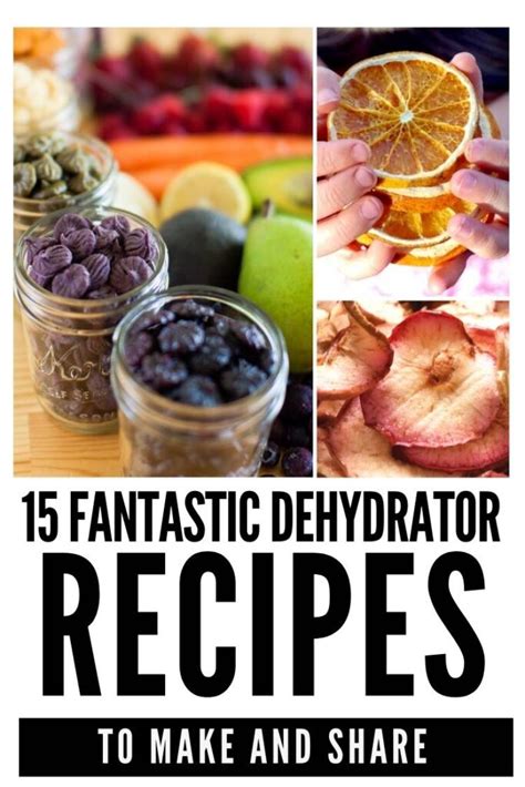 Dried Fruit + More Tasty Food Dehydrator Recipes