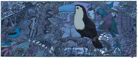 nature arena illustration