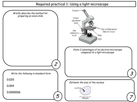 Pin On Gcse Biology Revision