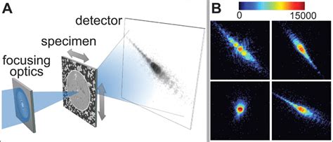 High Resolution Scanning X Ray Diffraction Microscopy Science