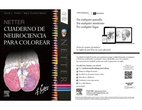 Libro De Neurociencia Procesos Cognitivos Ii Studocu